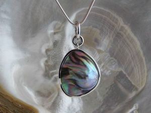 Michel Girardin pendant 821