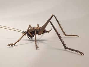 Ken Auton: Ken Auton bronze Cave Weta female