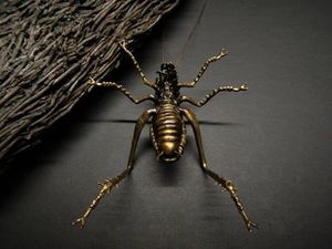 Ken Auton: Ken Auton bronze Giant Weta male