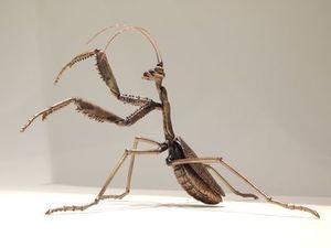 Ken Auton: Ken Auton Praying Mantis bronze sculpture