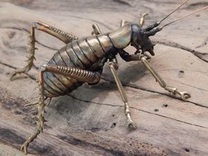Ken Auton: Ken Auton bronze Tree Weta female