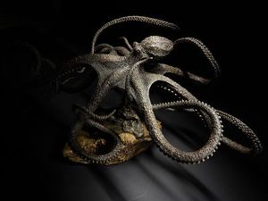 Ken Auton: Ken Auton 'Giant Pacific Octopus' bronze sculpture