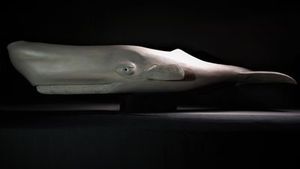 PARAOA' Sperm Whale sculpture by John Collins