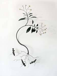 Bing Dawe Artist Works For Sale: Night Sky Under a Night Sky - Galaxiidae with Stream Side Daisy.