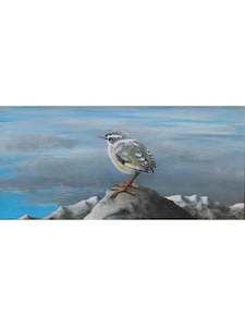 Peter Miller Artist Works For Sale: Rock Wren - Piwauwau