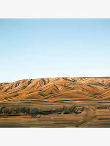 Paintings Artworks: Hawkdun Range, Autumn, Central Otago, New Zealand by Caroline Bellamy