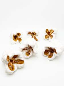 Set of Six White Popcorn