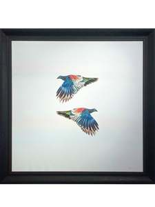 Paintings Artworks: Kererū Kererū
