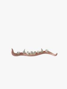 Sculptures Objects: Chewing Row cord of teeth