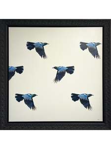 Paintings Artworks: Tui