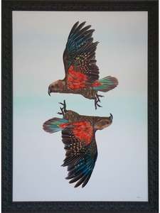 Paintings Artworks: Kea, Kea