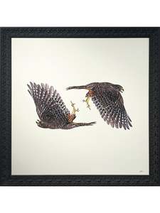 Paintings Artworks: Kārearea, Kārearea