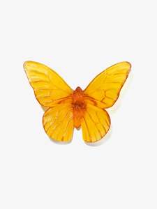 Luke Jacomb Studio Artist Works For Sale: Classic Butterfly Monarch