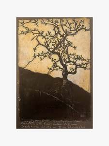 Bing Dawe Artist Works For Sale: Digging for Gold - From Foulden Maar, Corokia with fossil Galaxiidae - Sculpture Study
