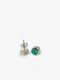 Round Paua Studs
