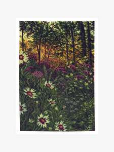 Paintings Artworks: Last of the Coreopsis