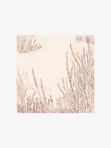 Alpine Study I Ed. 14/30, 2024