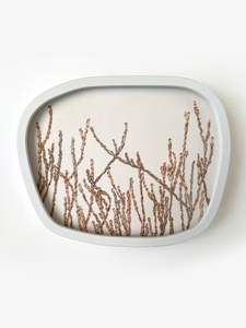 Edge dweller - beaded glasswort I Ed. 1/4, 2026