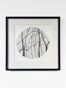 Bushwalk - Remnant IV Ed. 4/12, 2025