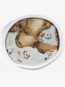 Kyla Cresswell: Leaving the Wetland I Ed 1/2, 2024