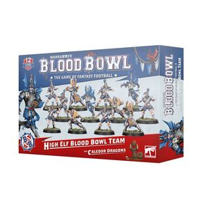 Miniatures Paint: High Elf Blood Bowl Team: The Caledor Dragons