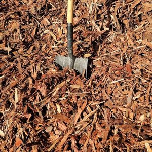 6B Cambium Mulch - Gammans