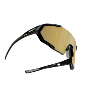 Riding Glasses: RAPTOR RIDING GLASSES GLOSS BLACK (Gold lens)