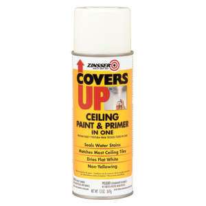 Fillers Sealants And Adhesives: Zinsser Covers Up Ceiling Paint and Primer - Aerosol 369g