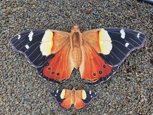 Products: PF 1 Yellow Admiral - Garden Artisan