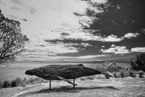 JMM 7 - Whale - Garden Artisan