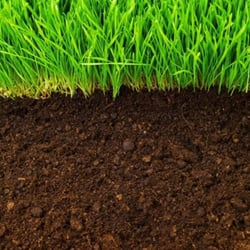 Compost Soil: Lawn Construction Mix - - - [20ltr Bag]