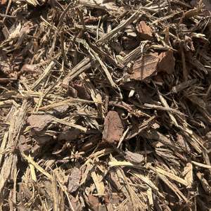 Standard Bark Mulch (20-50mm) - - - [SCOOP]