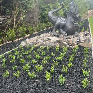 Bark Mulch: Black Satin Chip - - - [SCOOP]