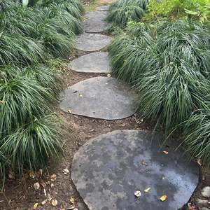 Bluestone Stepper / Paver (Natural Stone)  approx 600 x 500 x 30mm