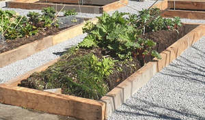 Sleepers: Macrocarpa Sleeper 100 x 200 - 2.4m