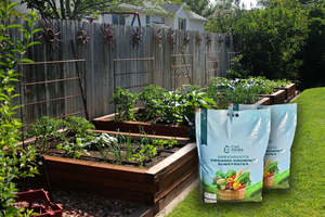 Products: Greenroots Organic Growing Substrate (Coco Perlite mix (50/50) - - - [50 ltr bag]