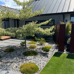 Decorative Stone: Coronet Silver (Shotover) Schist (20-40mm) - - - [SCOOP]