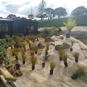 BioJute Jute Matting 350gsm - Biodegradable Weedmat (1m x 20m)