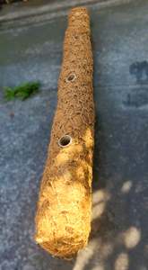 Coir Log Four-Pipe Bioengineering  - - - [200mm x 2m]