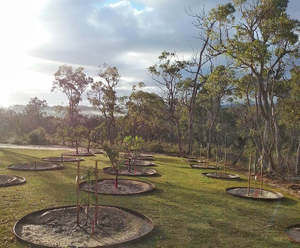 Straightcurve 150mm 2.2m Flexline (Weathering Corten)