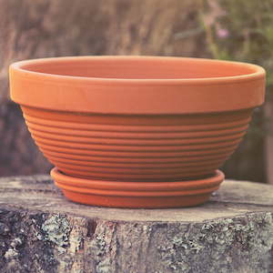 Terracotta Bowl
