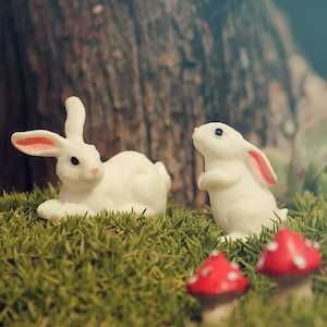 Fairy Rabbits – new varieties in stock