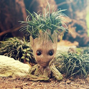 Products: Groot of the Garden 14cm