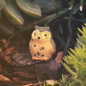 Products: Wise Owls