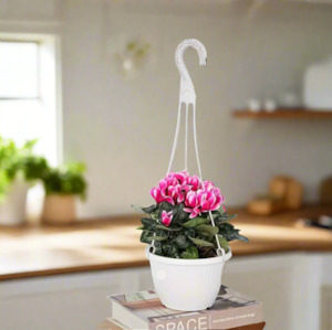 Hanging Basket (Outdoor) - White