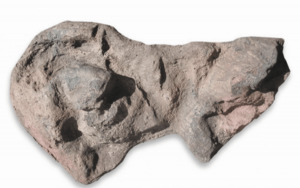 Pump Cover - Large - Grey