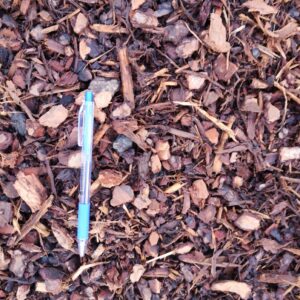 Page 4 of 5 - Gardenscape