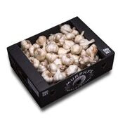 Frontpage: 1kg Premium NZ Garlic Foodies Pack