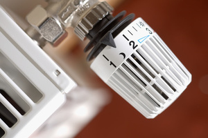 Products: Central Heating Service and Maintenance