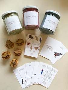 Playdough Native Birds Kit